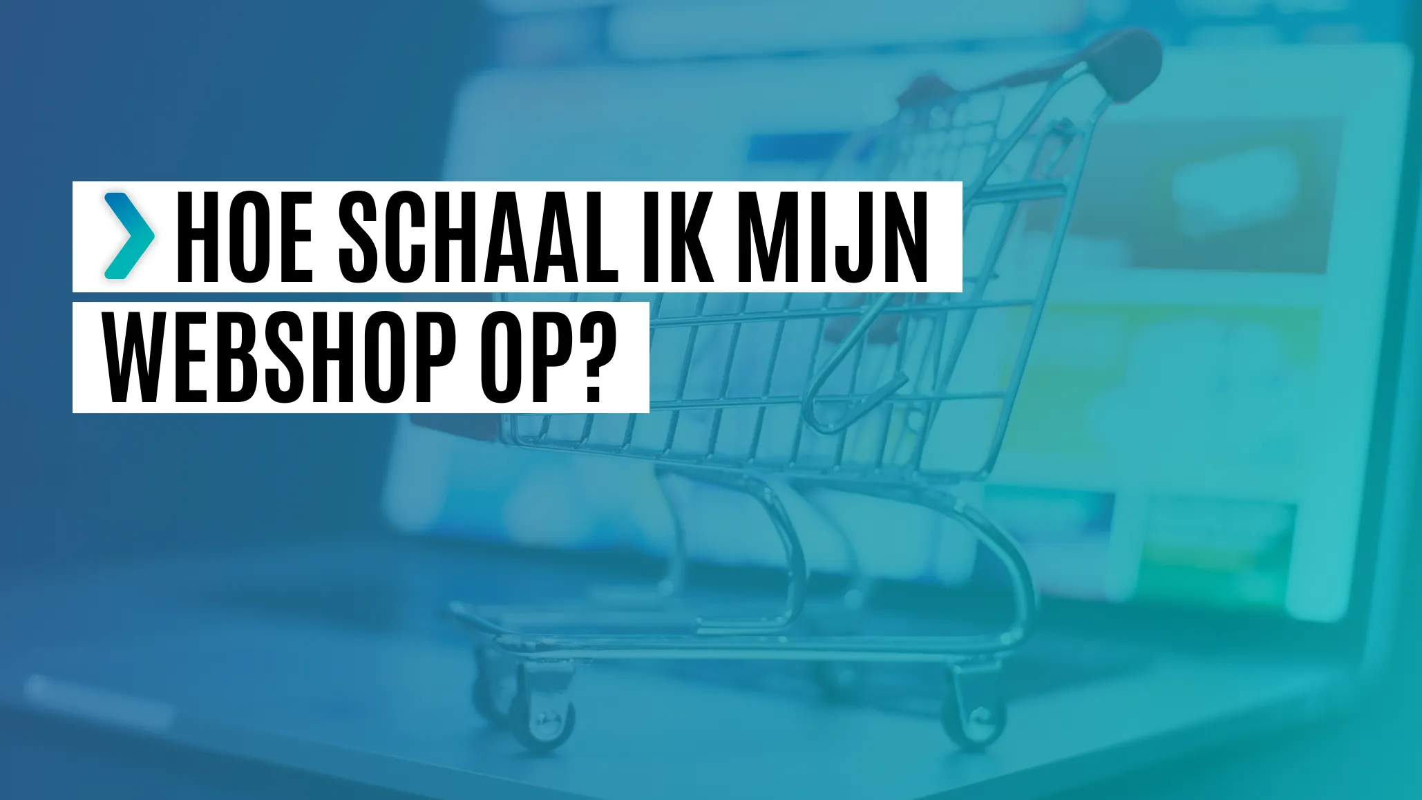webshop opschalen