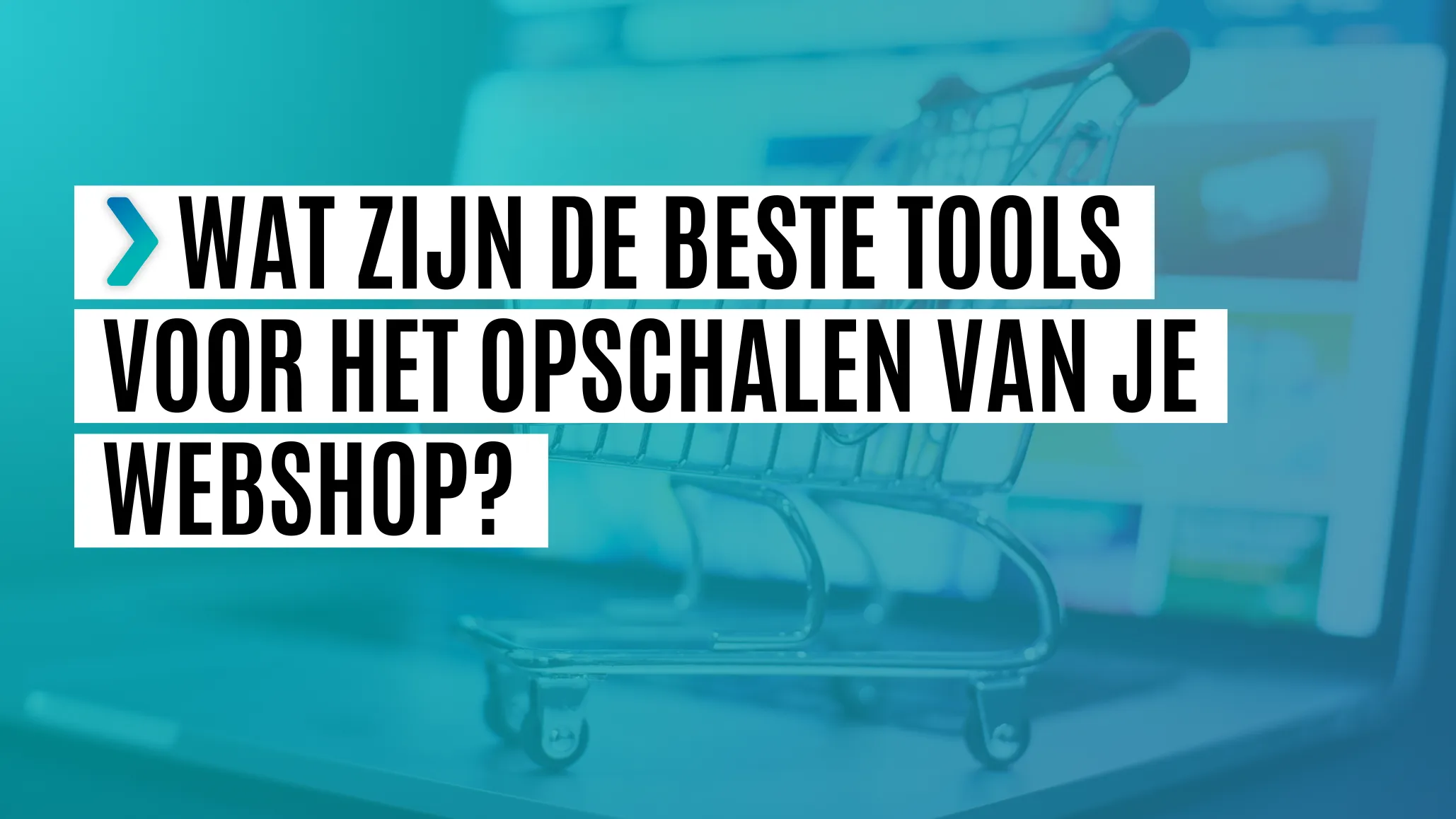 webshop upscalen tools