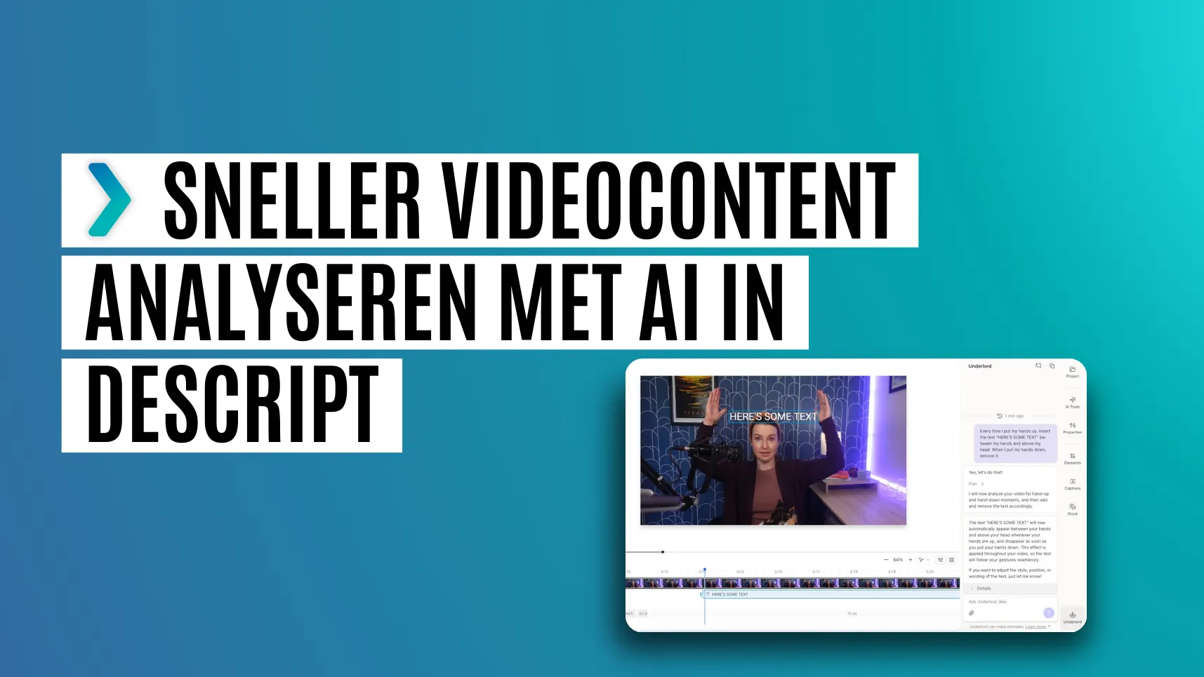 descript analyseren