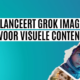 grok imagine