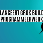 grok build grok build